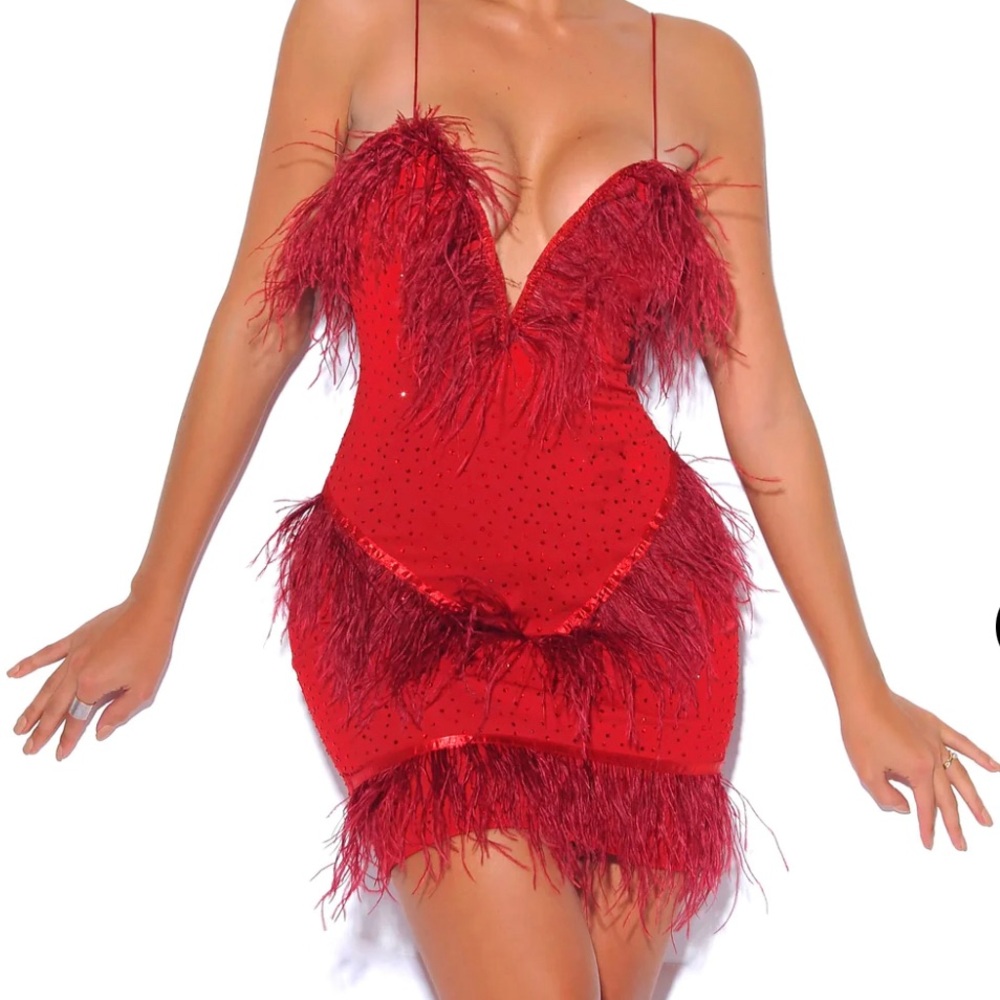Crystal And Feathers Red Stretch Crepe Dress